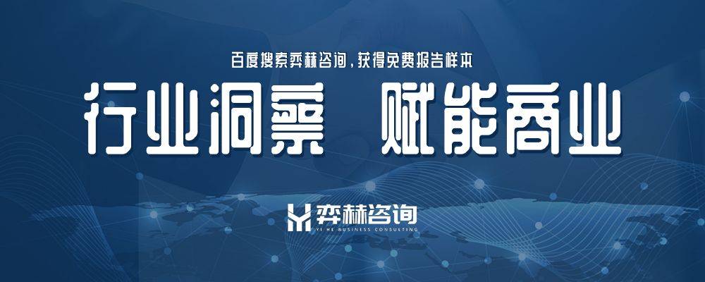 2025年懒人沙发市场AG真人国际全面分析(图2)